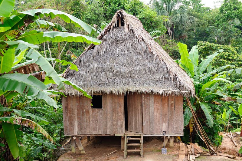 Amazonas peruviano, stabilimento indiano
