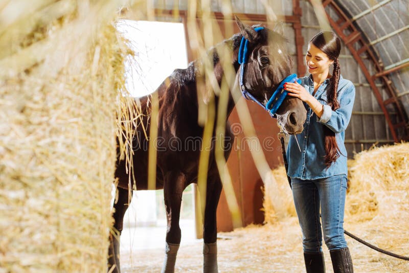 Amazone die met lange donkere vlecht haar het rennen paard bekijken royalty-vrije stock foto Amazone die met lange donkere vlecht haar het rennen paard bekijken royalty-vrije stock foto