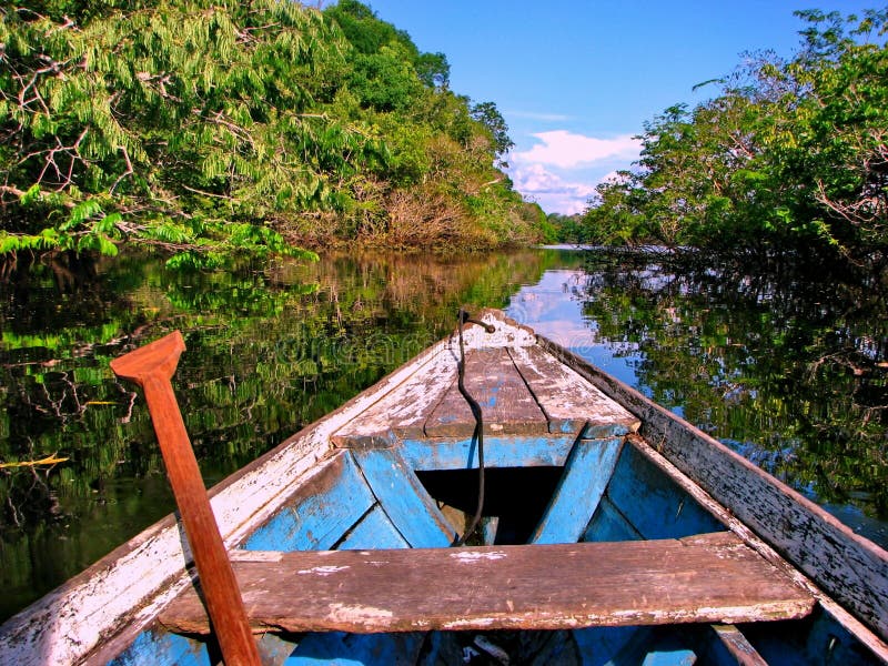 Amazonian boat stock photography