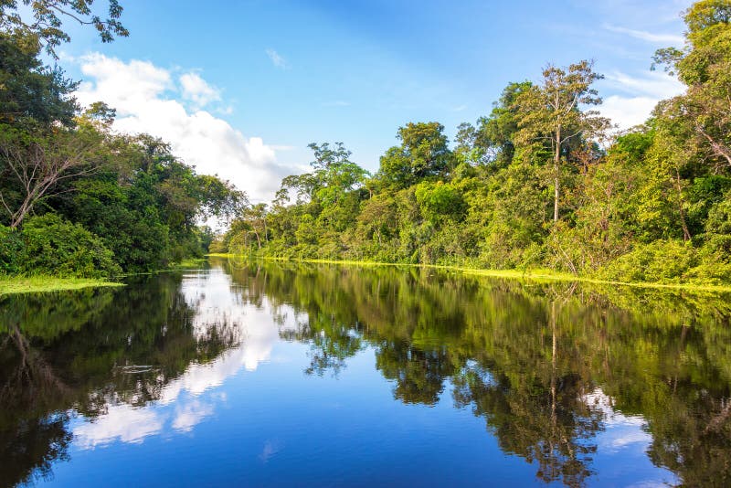 Amazonian Reflection royalty free stock images