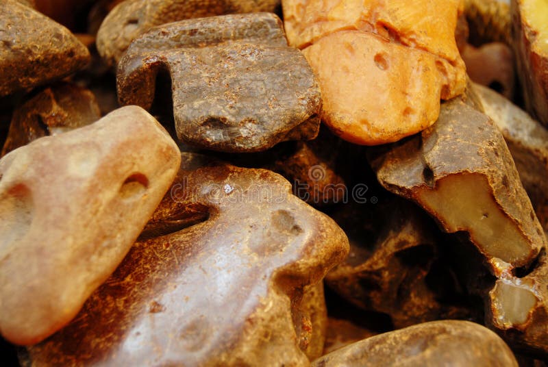 Amber royalty-vrije stock afbeeldingen Amber royalty-vrije stock afbeeldingen