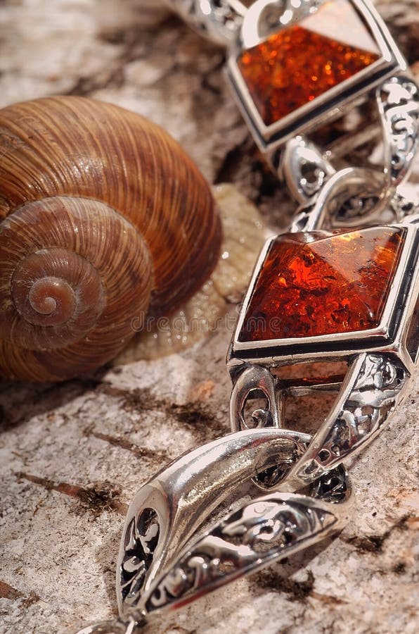 Amber bracelet on tree s bark