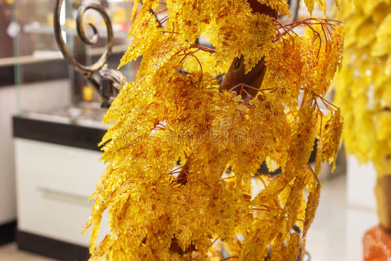 Amber tree. branches of yellow stone.luxury accessory jewelry royalty free stock photos Amber tree. branches of yellow stone.luxury accessory jewelry royalty free stock photos