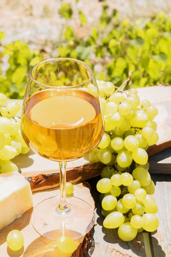 Amber wine in glasses on the nature: still life with cheese, grapes and wine in a rustic style. Georgian national wine or italian. Beautiful still life with royalty free stock photos Amber wine in glasses on the nature: still life with cheese, grapes and wine in a rustic style. Georgian national wine or italian. Beautiful still life with royalty free stock photos