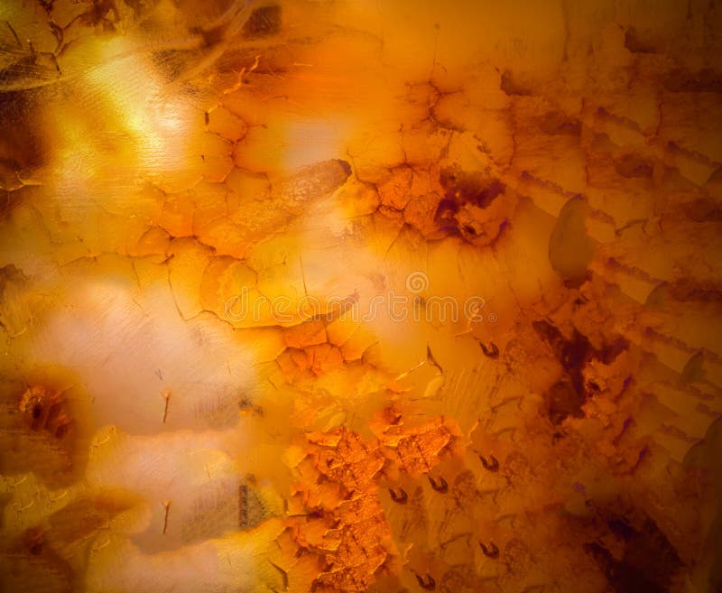 Ambersteenachtergrond
