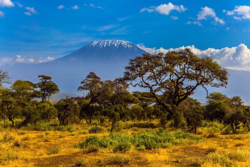 Amboseli is a Biosphere Reserve Stock Image - Image of empty, animal ...