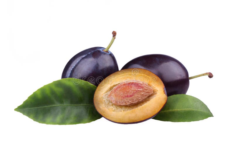 Ameixas frescas foto de stock