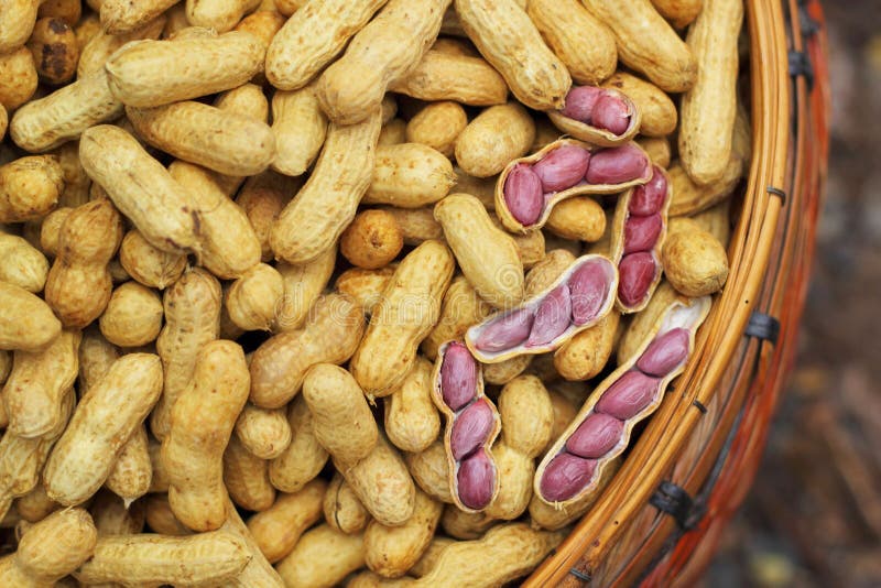 Amendoins fervidos no mercado