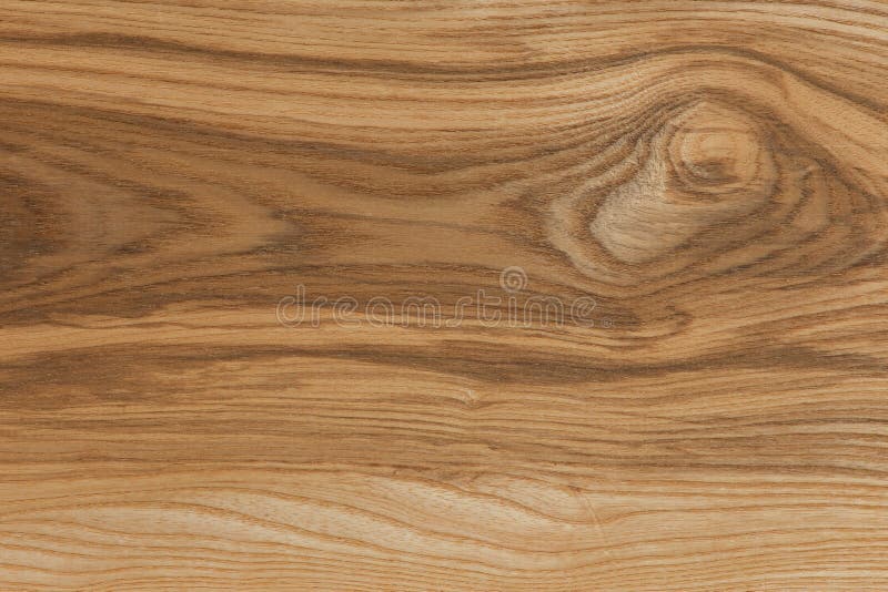 American Ash Wooden Boards with Unsound Knot Stock Photo Image of unsound, board 36653374
