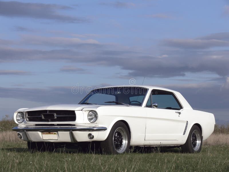 American Classic Car - Horse Power 1967 royalty free stock images