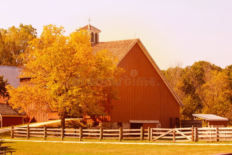 American dairy farm and barns in autumn season