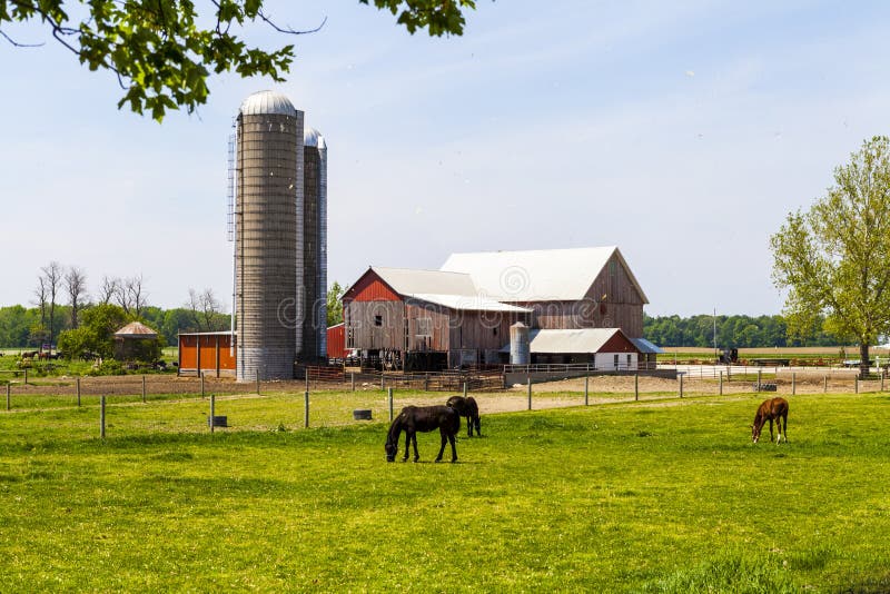 American Farmland stock images