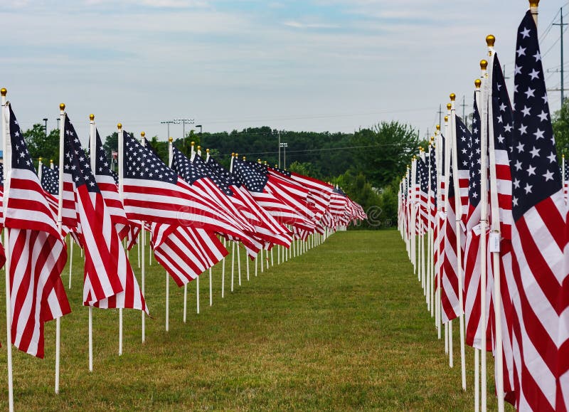 American Field of Flags on Memorial Day Stock Photo Image of
