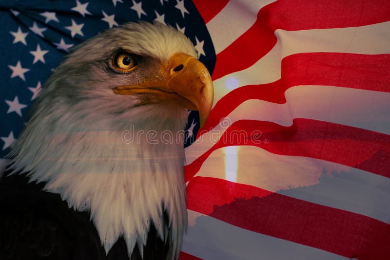 American flag with american eagle and sunlight. American nationaly symbol.