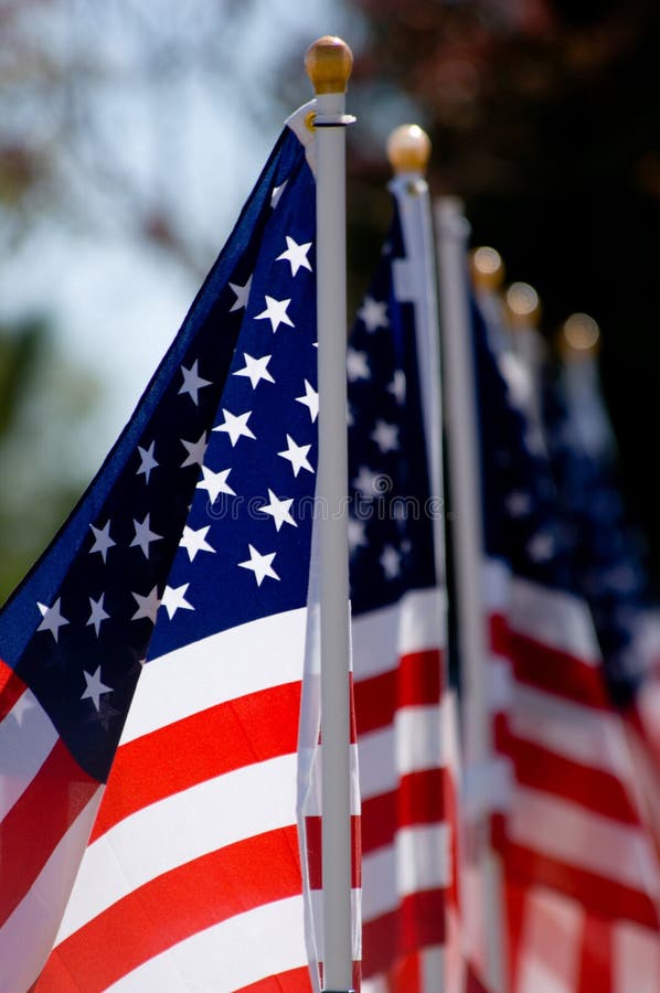 American Flag Display for Holiday Stock Photo Image of united