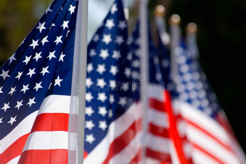 American Flag Display in Honor of Veterans Day Stock Photo Image of