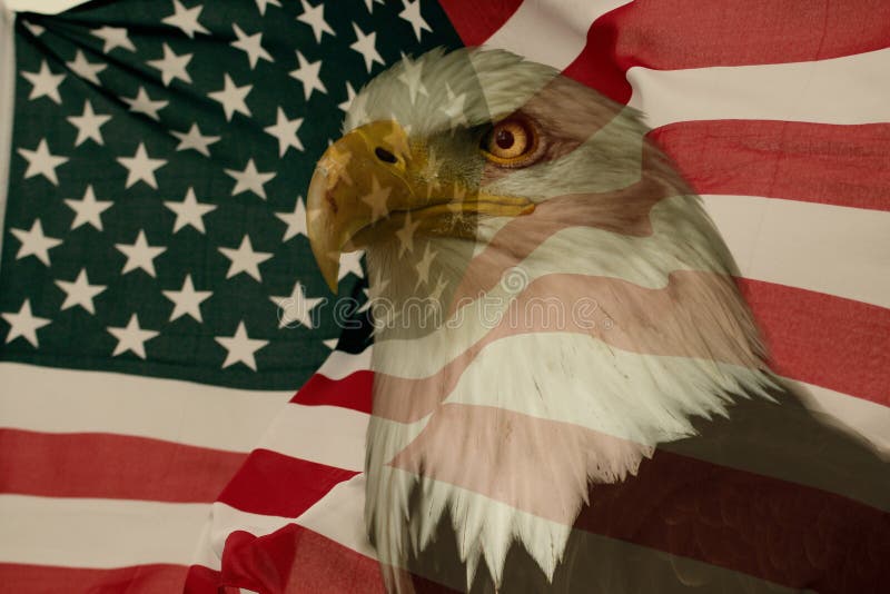 American flag with eagle. National symbol for USA.