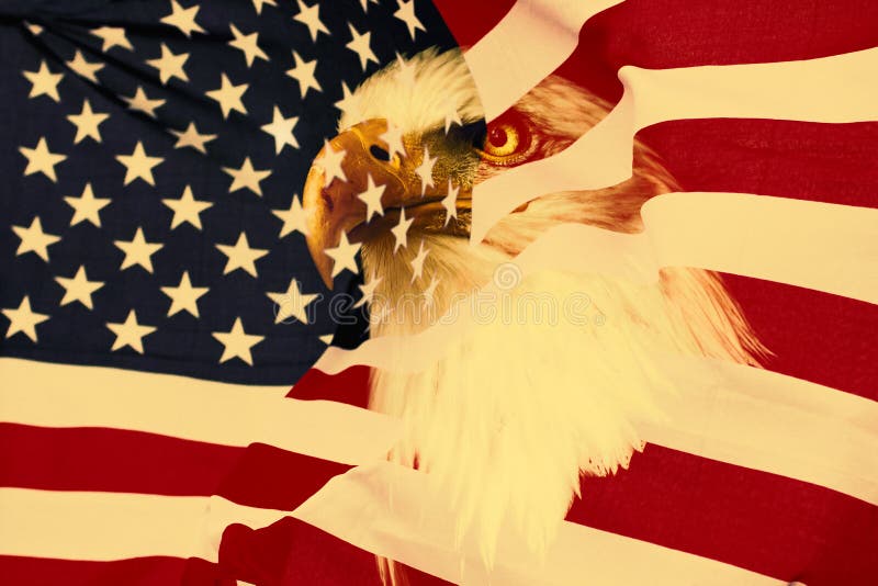 American flag with eagle. Retro, nationaly USA symbol.