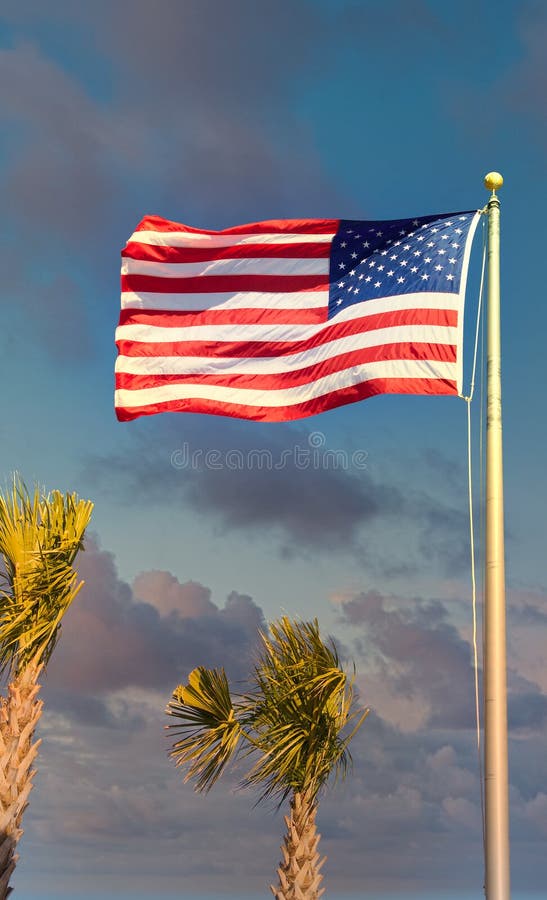 American Flag Over Palm Trees at Dusk Stock Image Image of flying