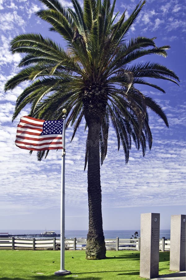 American Flag and Palm Tree Stock