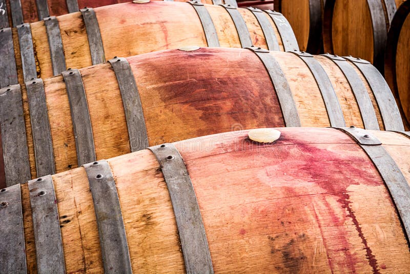 American Oak Barrels With Red Wine Traditional Wine Cellar Stock Image