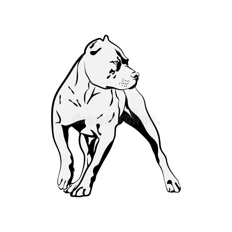 how to draw a mean pitbull