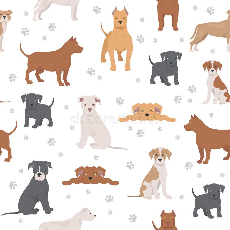 American Bully Dogs Set. Color Varieties, Different Poses Stock Vector