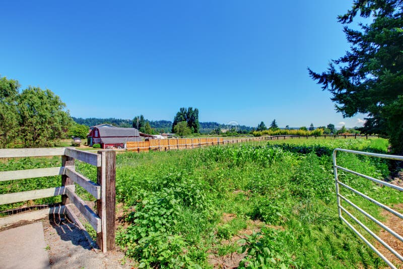 Gates and Fence To the Backyard Stock Image Image of march, plants