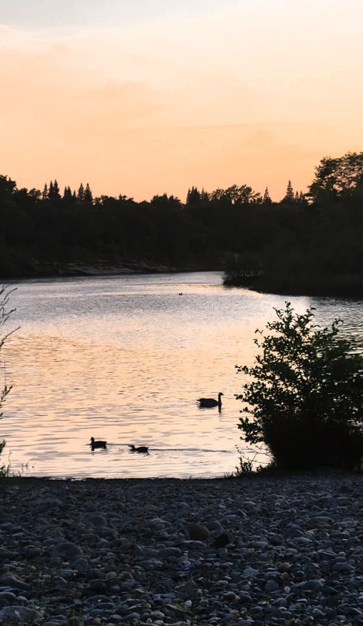 American River. Fair Oaks, California Stock Image Image of california