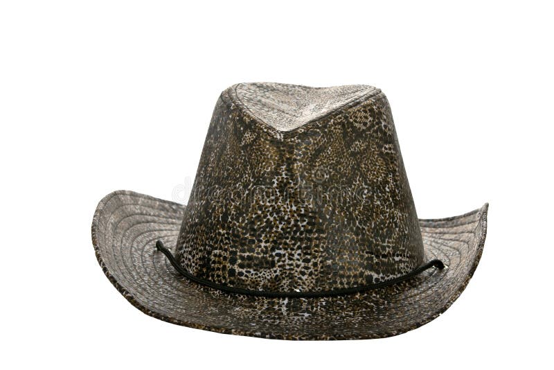 American Wet Weather Cowboy Hat Stock Image Image of resistol, brown