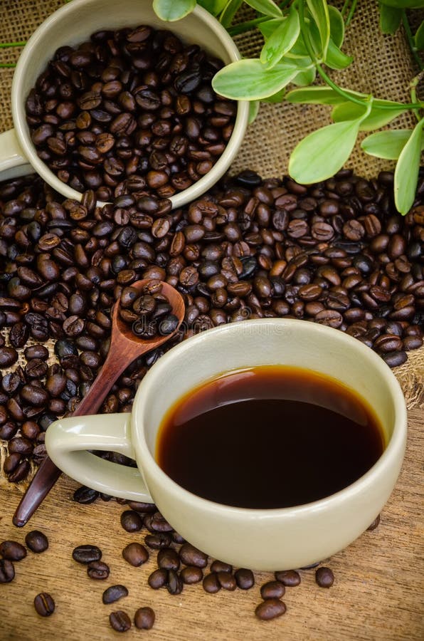 Cup of Americano and Cookies on Coffee Beans Background Stock Photo