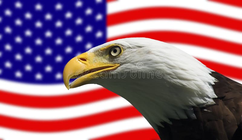Amerikaanse Kale Adelaar en Vlag stock foto Amerikaanse Kale Adelaar en Vlag stock foto