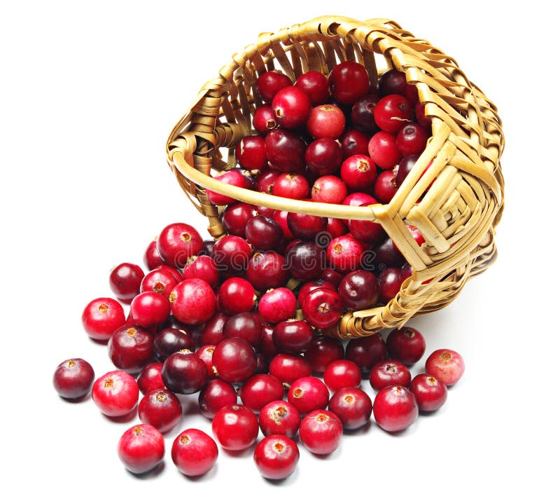 Cranberries near the basket on white. Cranberries near the basket on white