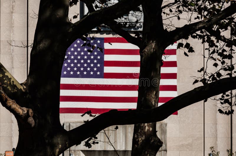 Amerikaanse vlag stock afbeeldingen Amerikaanse vlag stock afbeeldingen