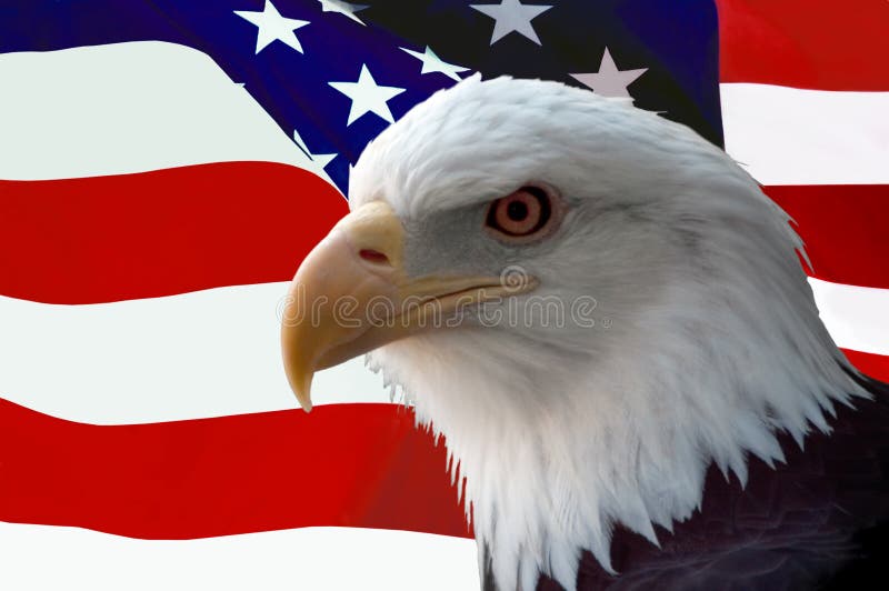 Amerykańska flaga łysego orła