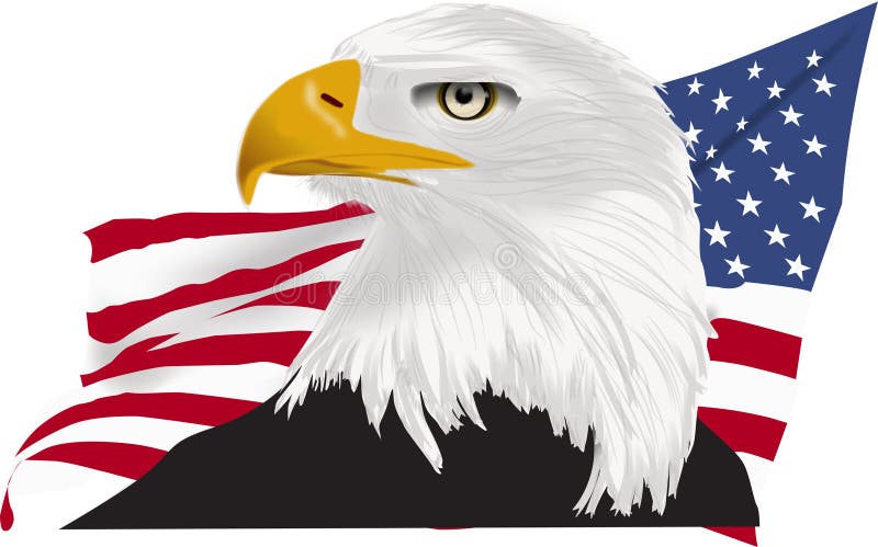 Amerykański rysunek orła łysiego z żółtym dziobem i amerykańską flagą z tyłu jako widok profilu wektorowego