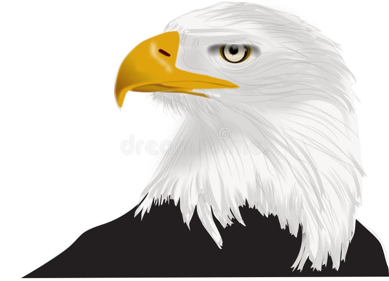 Amerykański rysunek orła łysiego z żółtym dziobem i bez tła jako widok profilu wektorowego