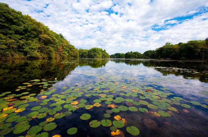 Ames Pond stock photography Ames Pond stock photography