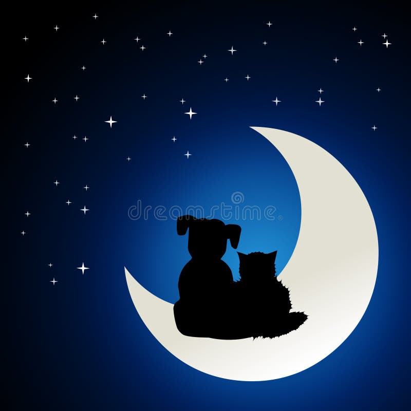 Amicizia del cane e del gatto illustrazione di stock Amicizia del cane e del gatto illustrazione di stock