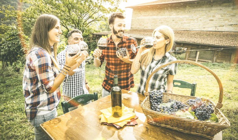 Amigos felizes que comem o vinho bebendo do divertimento no vinhedo da adega imagem de stock royalty free Amigos felizes que comem o vinho bebendo do divertimento no vinhedo da adega imagem de stock royalty free