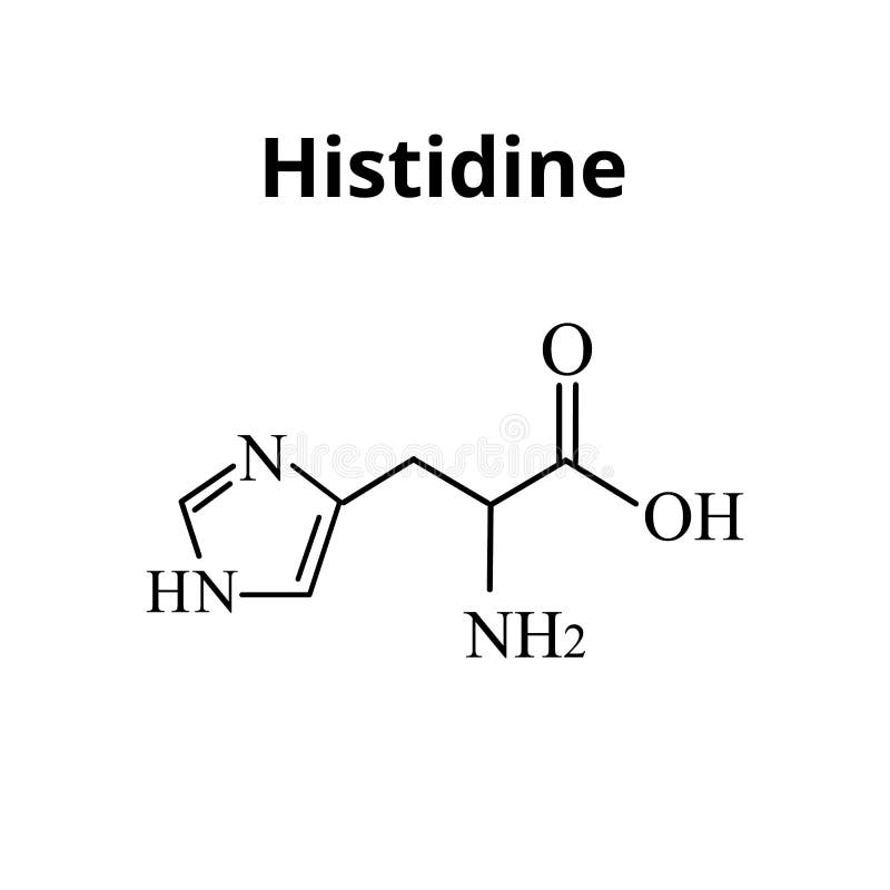 Amino Acid Histidine. Chemical Molecular Formula Histidine Amino Acid