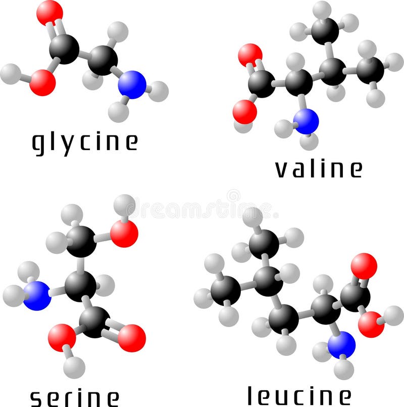 amino syror stock illustrationer amino syror stock illustrationer