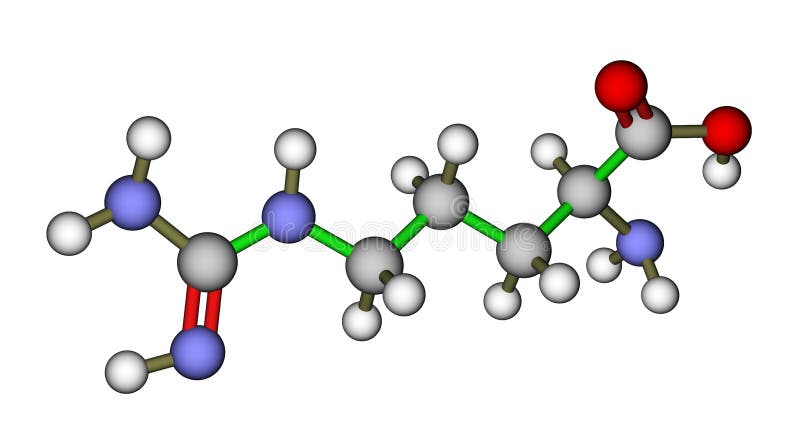 Amino zjadliwa arginine molekuła ilustracja wektor Amino zjadliwa arginine molekuła ilustracja wektor