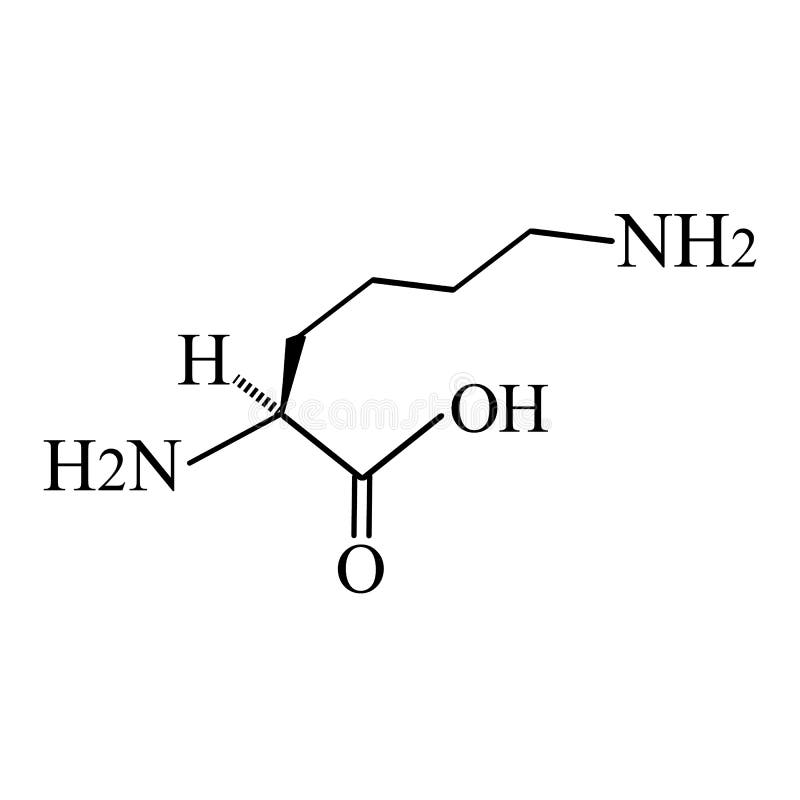 Aminosylysin. lysin för kemisk molekylär formel är en aminosyra. vektorillustration på isolerad bakgrund stock illustrationer