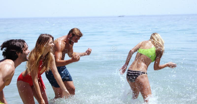 Amis ayant l'amusement à la plage clips vidéos