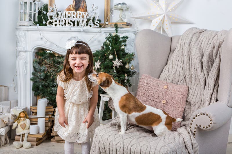 Amis d'homosexuel de fille et de chien images libres de droits Amis d'homosexuel de fille et de chien images libres de droits