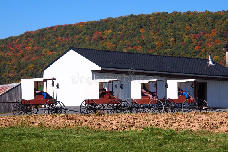 Amish Barn with Buggies Parked alongside royalty free stock photography Amish Barn with Buggies Parked alongside royalty free stock photography