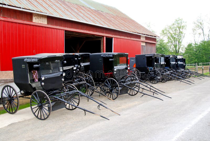 Amish buggies royalty free stock photos Amish buggies royalty free stock photos