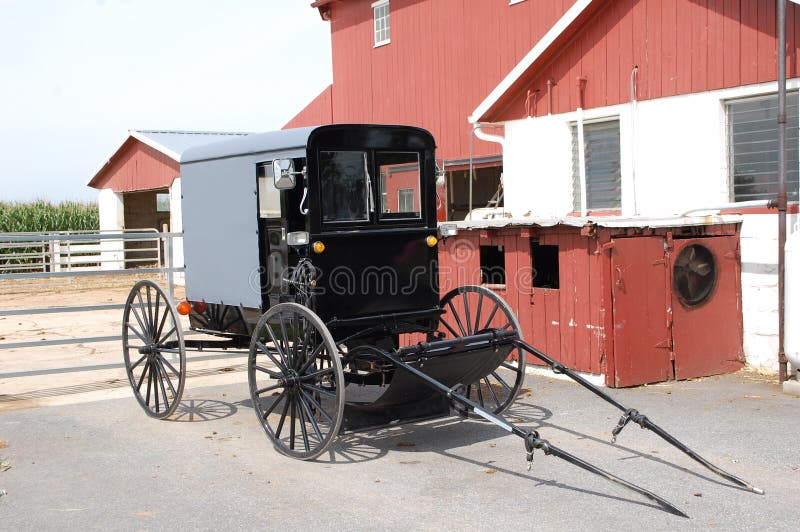 Amish Buggy stock images Amish Buggy stock images
