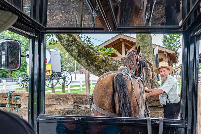 Amish Country, Lancaster PA US - September 4 2019, Amish man caring for a horse, view from a wagon in Lancaster, PA US.